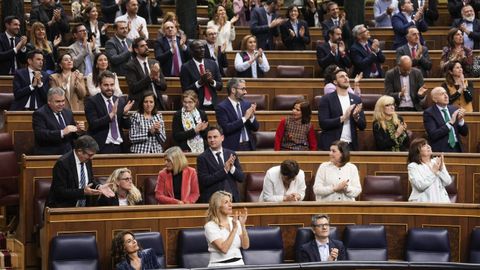 La bancada del PSOE en el Congreso de los Diputados aplaude durante el pleno del Congreso celebrado el 9 de abril.