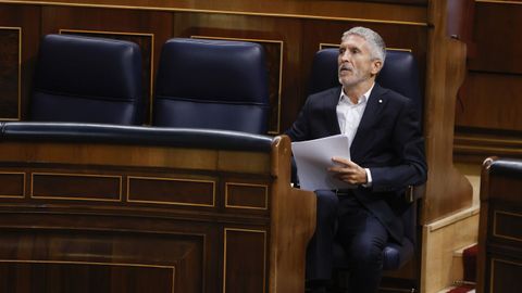 Fernando Grande-Marlaska, ministro de Interior, en el Congreso.