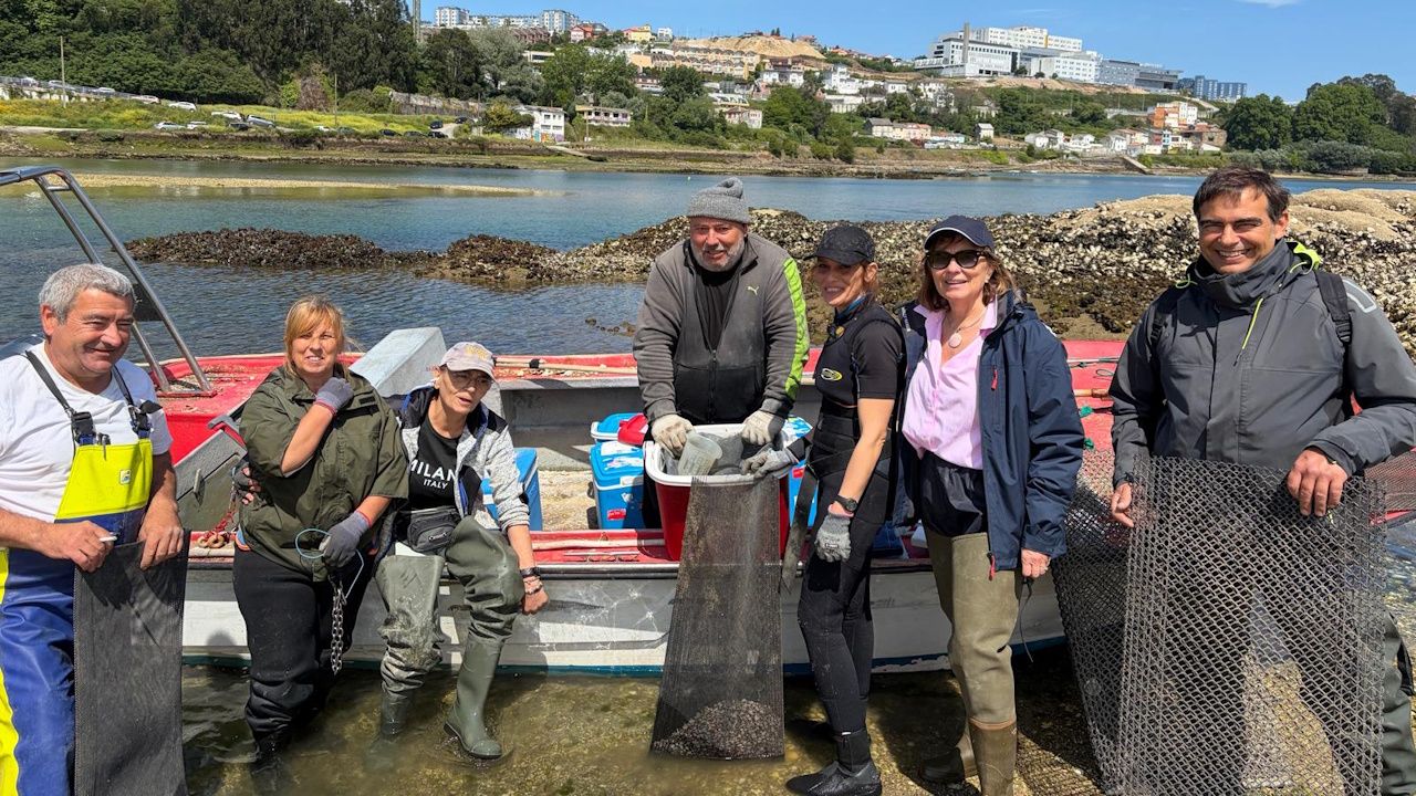 La Consellería do Mar entrega 183.000 unidades de almeja babosa para la regeneración de la ría de O Burgo
