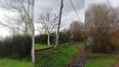 Atado con una cuerda a un �rbol m�s peque�o que �l. As� est� asegurado este poste telef�nico cerca de Monforte para evitar que caiga