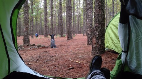 La acampada libre no es legal en Asturias.La acampada libre no es legal en Asturias