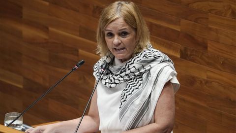 Covadonga Tom� diputada del Grupo Mixto