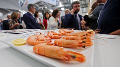 La cumbre mundial del congelado se re�ne en Vigo