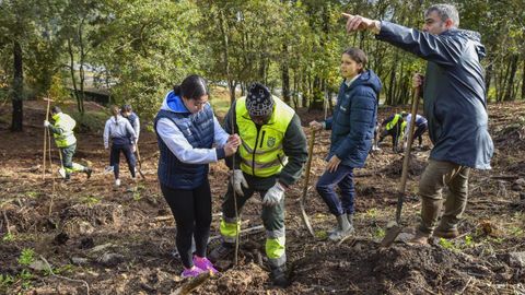 La plantacin de castaos tuvo lugar este martes en el parque forestal de A Tomba, en Campa