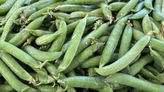 Los guisantes se venden en el mercado de Vilagarc�a al precio de 6,5 euros el kilo