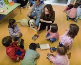Sesi�n did�ctica con canes en el colegio de la localidad.