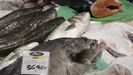 Pescado fresco en el Mercado de El Font�n de Oviedo