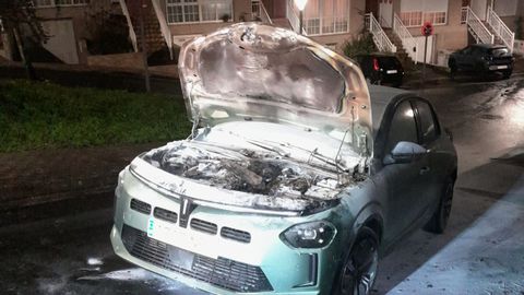 Arde un coche h�brido en Nar�n