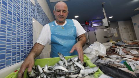 Declaraciones de Choco, conocido pescadero de Viveiro sobre la venta de sardina para San Juan