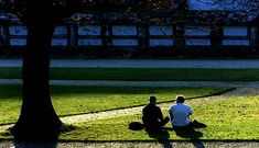 El mantenimiento de los parques saldr� a licitaci�n de nuevo y se resolver� en la primavera.