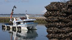 Descarga de mejill�n para consumo en fresco de la empresa Benito Oubi�a en Vilanova de Arousa, a mediados de abril del 2026. 