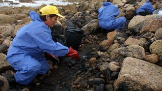 Limpeza de chapapote do Prestige, en novembro do 2003, na Costa da Morte 