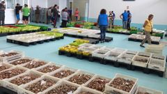 Primera subasta de marisco en la nueva lonja