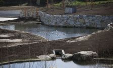 Los estanques del parque, que no est� abierto al p�blico, acogen a un grupo de aves. 