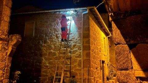 Retirada de un nido en Barbadás