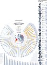 �Qui�n nos ha votado en Eurovisi�n desde el 2000?