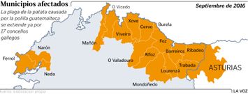 La polilla se extiende