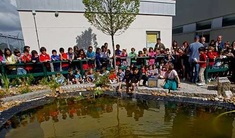 Los alumnos del colegio A Rabadeira (a Oleiros, A Coru�a) construyen una charca en su centro