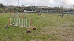 Campo de entrenamiento anexo al estadio de A Malata, que ahora est� abandonado