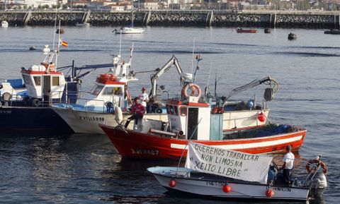 Bruselas decidir� el d�a 21 si la flota del xeito -en la foto, en una protesta- desaparece o no. 