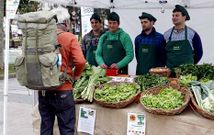 Los estudiantes de Fonteboa consiguieron vender todas las lechugas que compraron.