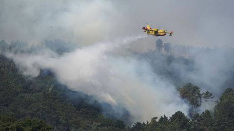 Incendio forestal en A Franqueirn (Ribadavia).