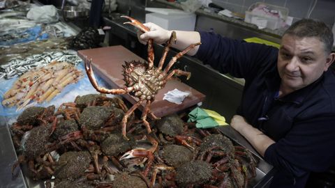 Marisco y pescado en la plaza de Lugo, en A Corua