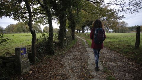 As� es el Cami�o Primitivo a su paso por el municipio de Lugo