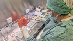 Preservaci�n del tejido testicular en el Hospital Universitario de Bruselas