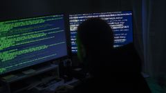 Los ciberestafadores engaaron a la vctima con inversiones falsas