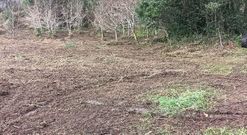 Una de las zonas en las que se realiz� la limpieza