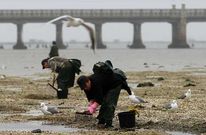 La incorporaci�n de nuevas socias permitir� mejorar el trabajo de los bancos grovenses.