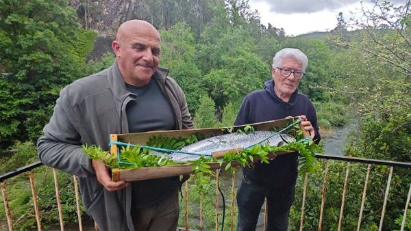 El campanu del Eo del a�o 2024 tard� m�s de un mes en salir y fue pescado por el asturiano Victorino Garc�a