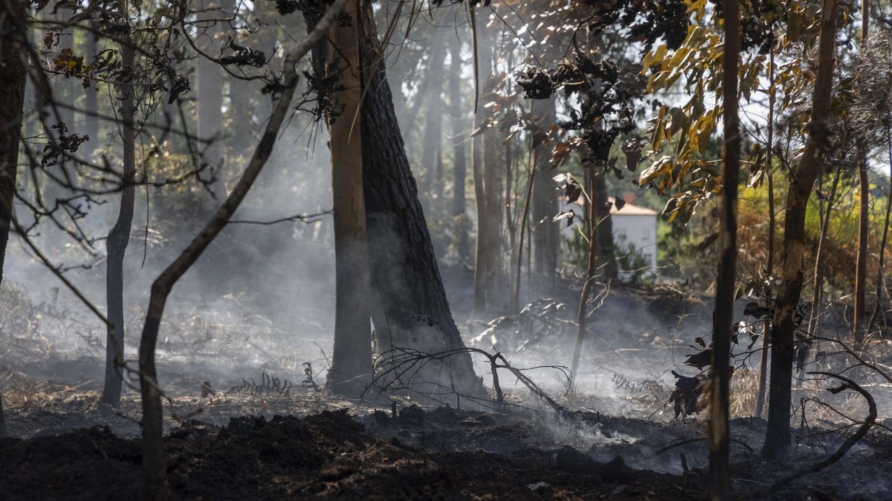 Incendios y gestión del medio rural