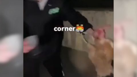 Unos jvenes de La Rioja utilizan una gallina como baln de ftbol