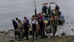 Mariscadores de la r�a de O Burgo retirando mejill�n salvaje.