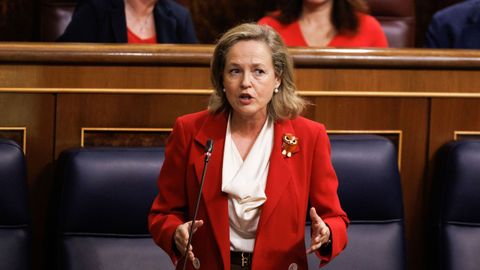 La vicepresidenta Econmica, Nadia Calvio, en el Congreso.