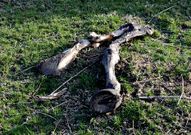 Esta foto, con los restos de un caballo, est� incluida en la denuncia.