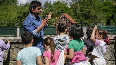 Colocación de hoteles para insectos en A Veronza