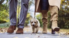 Un perro pasea entre dos adultos.