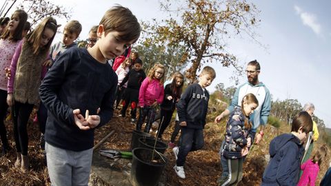 Mira aqu las imgenes de la plantacin de rboles de Voz Natura del colegio de Cespn!