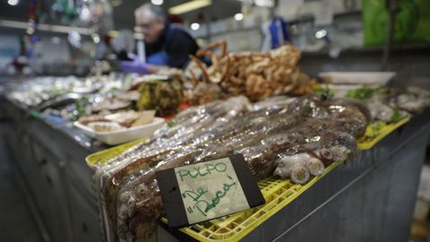 Marisco y pescado en la plaza de Lugo, en A Corua