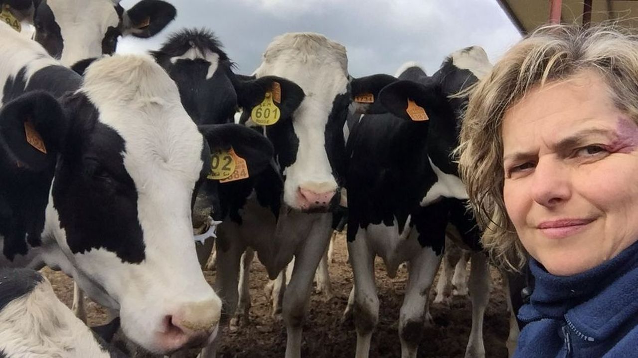 La mejor ganadería de Galicia por producción de leche está en O Saviñao