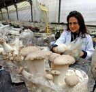 Catalina Fern�ndez de Ana, directora de Hifas da Terra.
