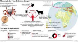 El contagio del virus de Crimea-Congo