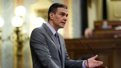 Pedro S�nchez, en el Congreso de los Diputados