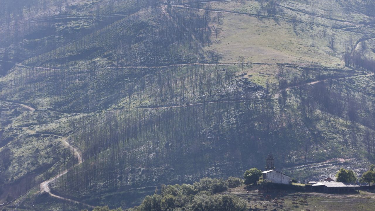 Una jornada turística en tierras de O Courel quemadas hace tres años