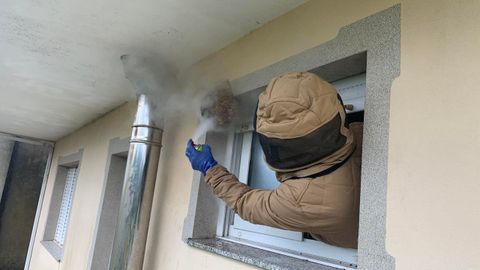 Retirada de un nido de velutina en Rianxo