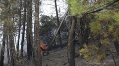 Reparaci�n de una l�nea el�ctrica da�ada por el incendio en el municipio de Quiroga, en una imagen tomada ayer