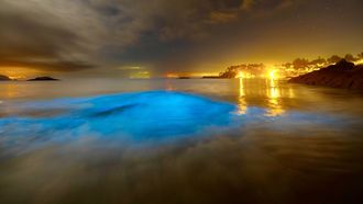 Mar de ardora este s&aacute;bado de madrugada en la playa de Mar&iacute;n, en Perbes